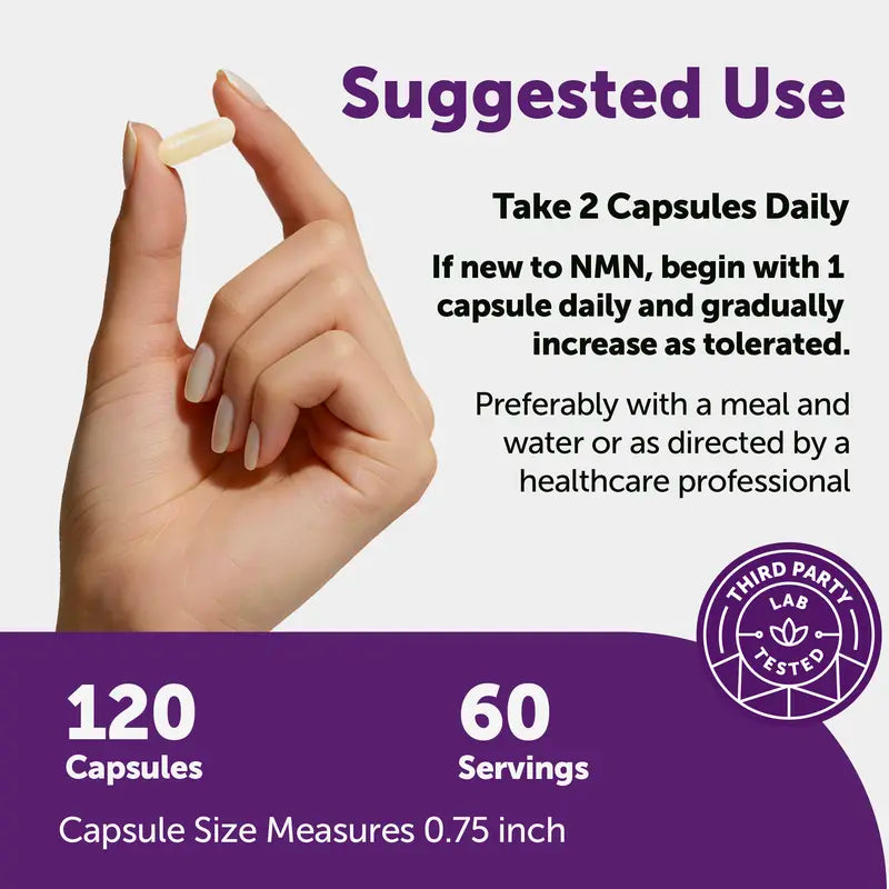 Ultimate 10-in-1 NAD+ Precursor – 1000mg Cell Renewal Complex