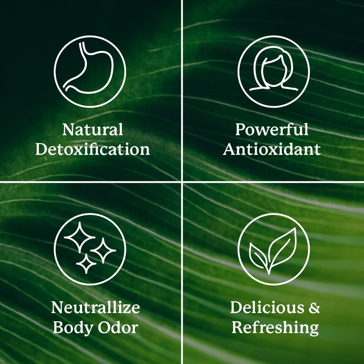 Extra Strength Chlorophyll Lime Twist Stick Packs for Daily Detox Support