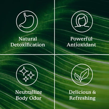 Extra Strength Chlorophyll Lime Twist Stick Packs for Daily Detox Support